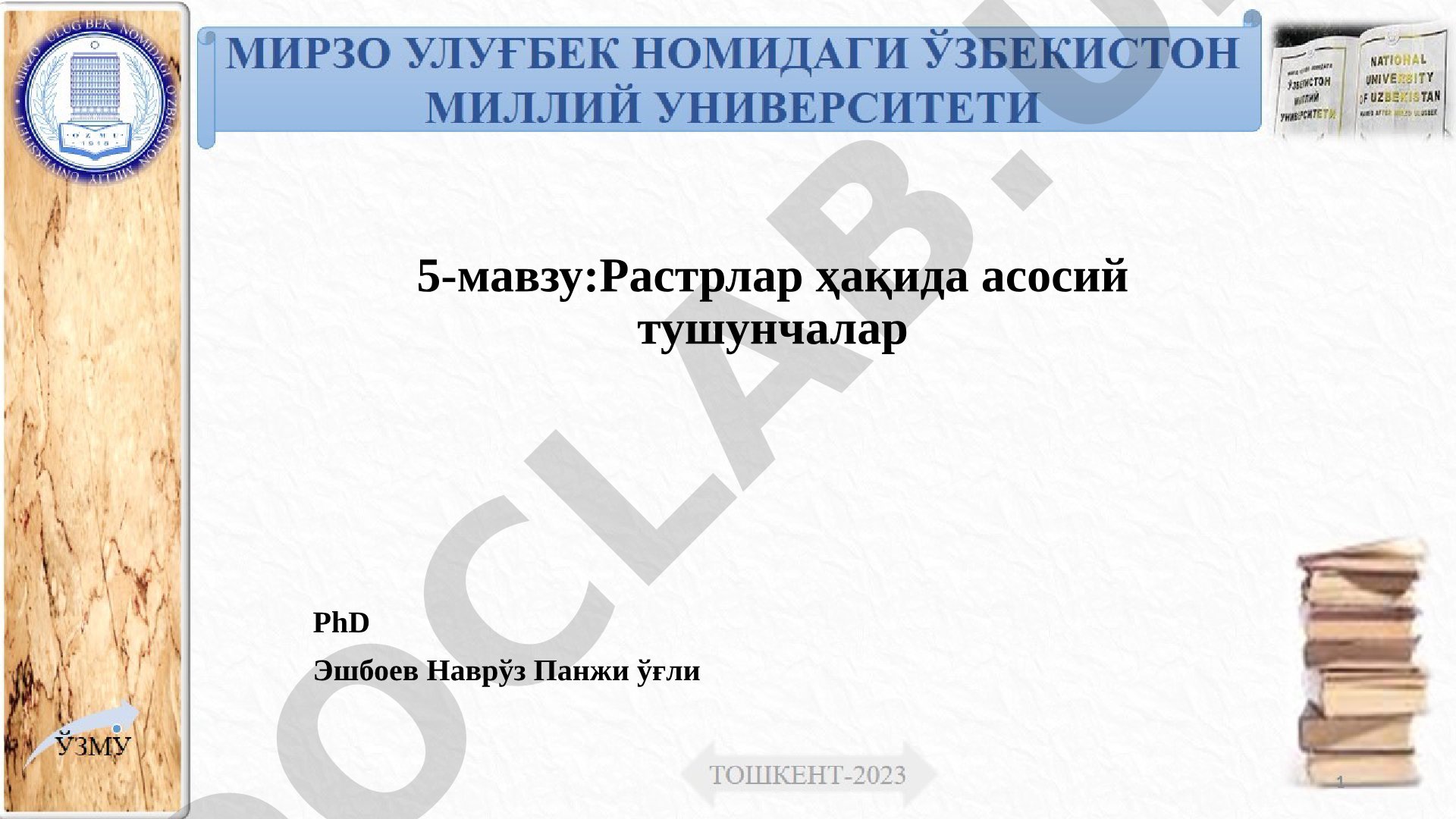 Растрлар ҳақида асосий тушунчалар
