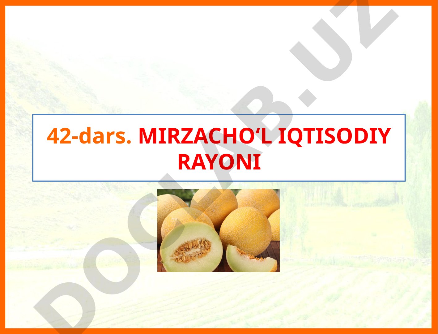 Mirzacho‘l iqtisodiy rayoni