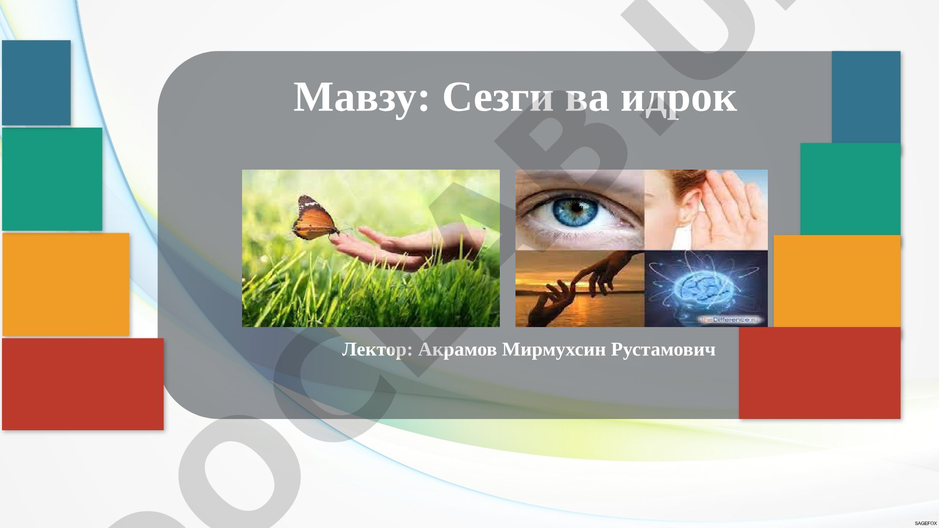 Сезги ва идрок