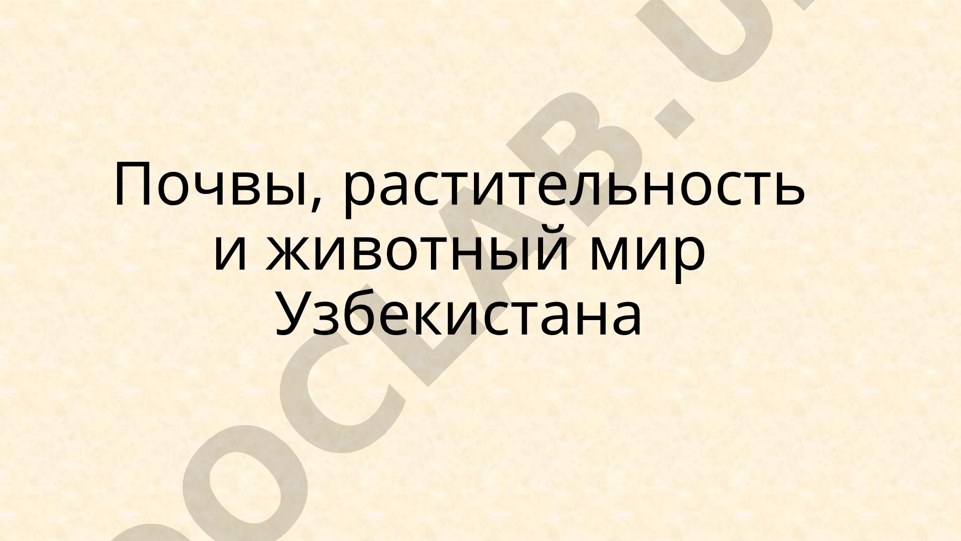 Почвы, растительность и животный мир Узбекистана
