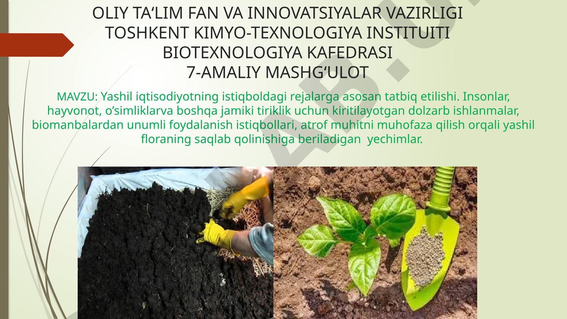 Yashil iqtisodiyotning istiqboldagi rejalarga asosan tatbiq etilishi