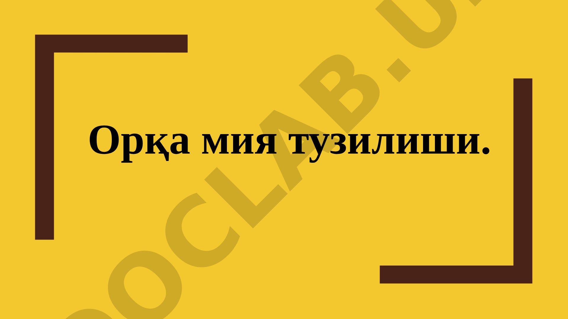 Орқа мия тузилиши, унинг қисмлари ва нерв илдизлари ҳақида маълумот