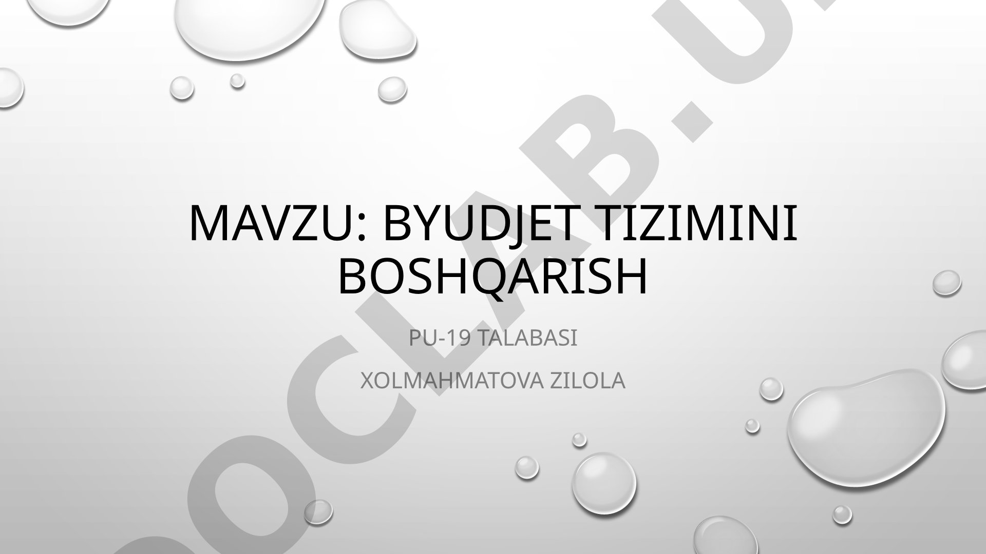 Byudjet tizimini boshqarish