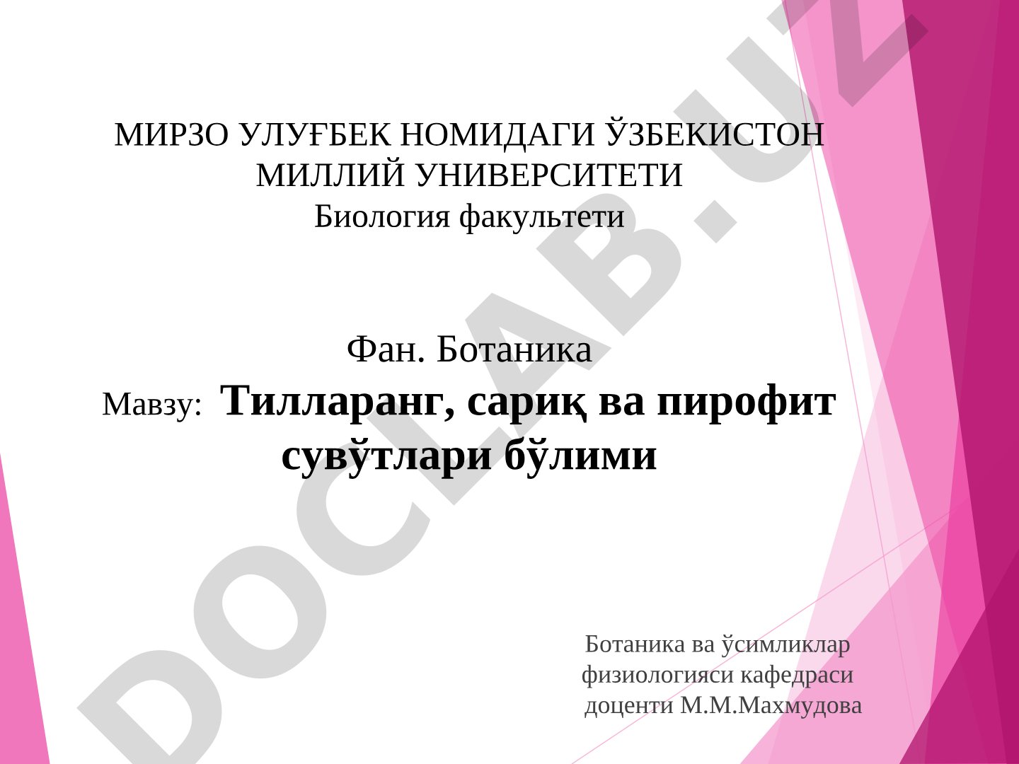Тилларанг, сариқ ва пирофит сувўтлари бўлими