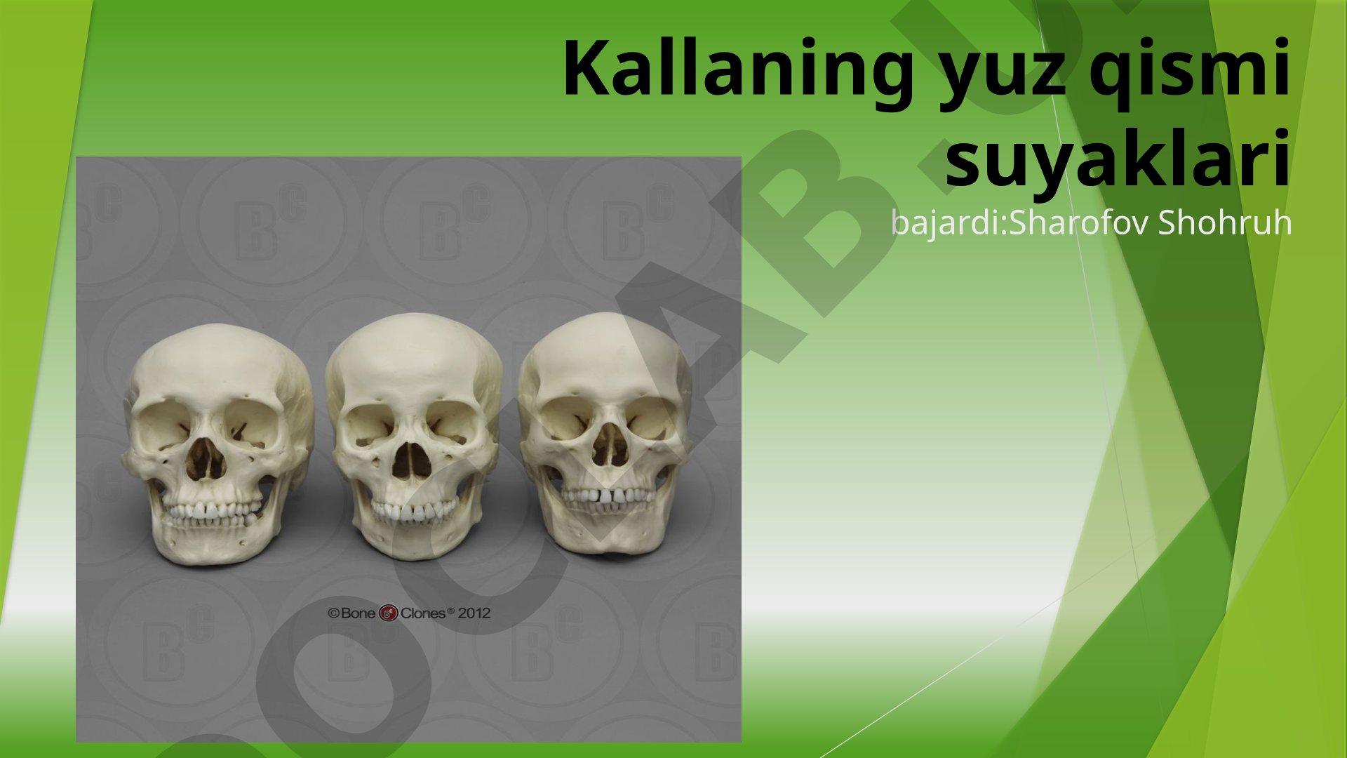Kallaning yuz qismi suyaklari