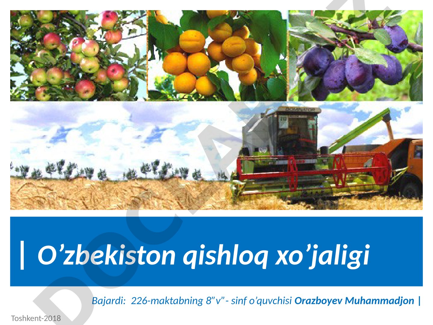 O'zbekiston qishloq xo'jaligi