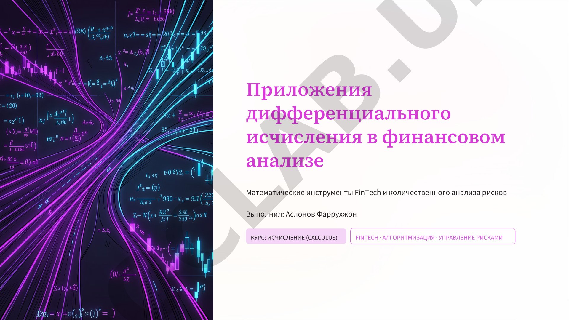 Приложения дифференциального исчисления в финансовом анализе