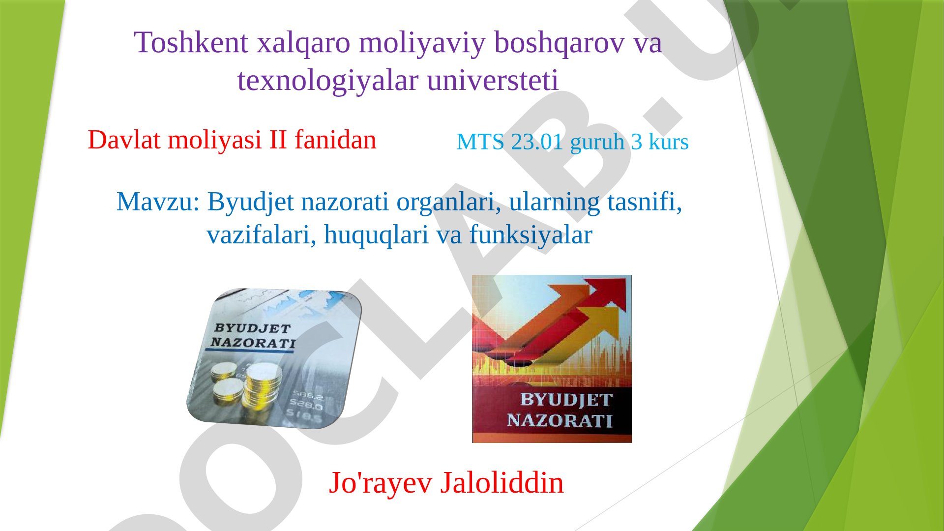 Byudjet nazorati organlari, ularning tasnifi, vazifalari, huquqlari va funksiyalar
