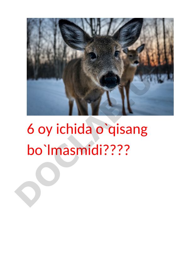 O'zbek tilida o'qish va o'qitish metodikasi