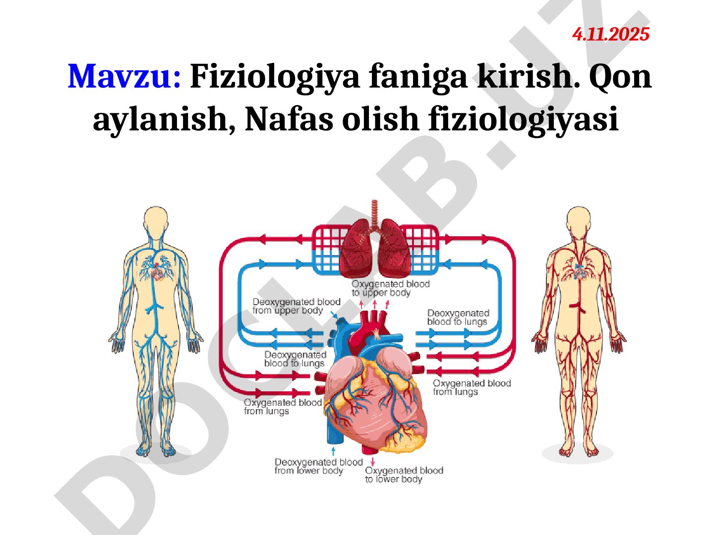 Fiziologiya faniga kirish. Qon aylanish, Nafas olish fiziologiyasi