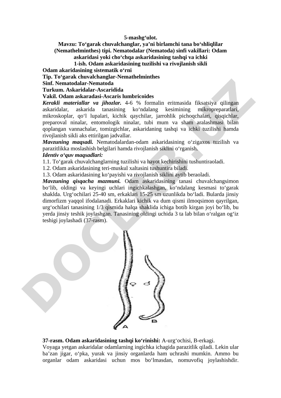 To‘garak chuvalchanglar tipi, Nematodalar sinfi vakillari: Odam askaridasi va cho‘chqa askaridasining tuzilishi