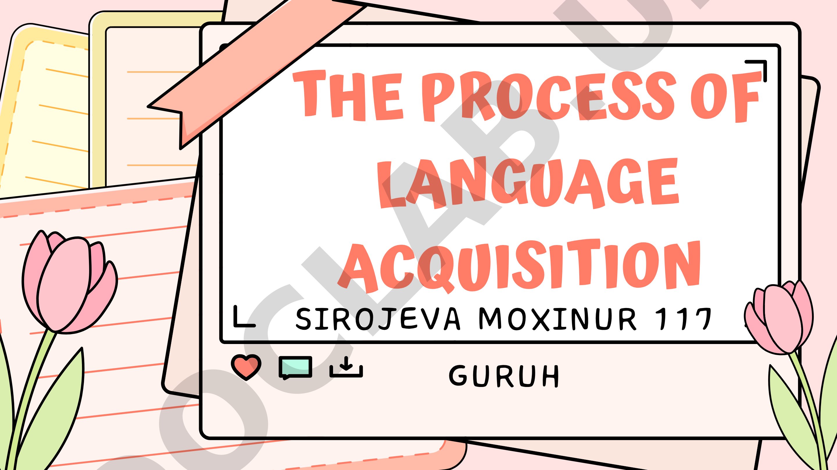 The process of language acquisition