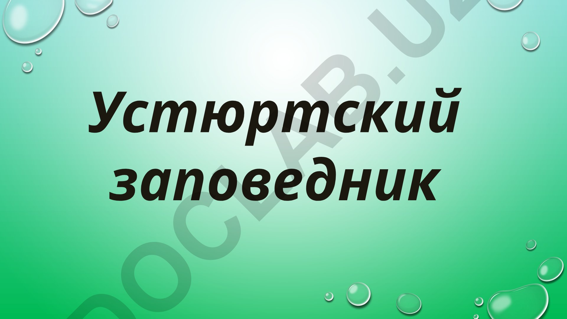 Устюртский государственный заповедник: создание, география и природные особенности