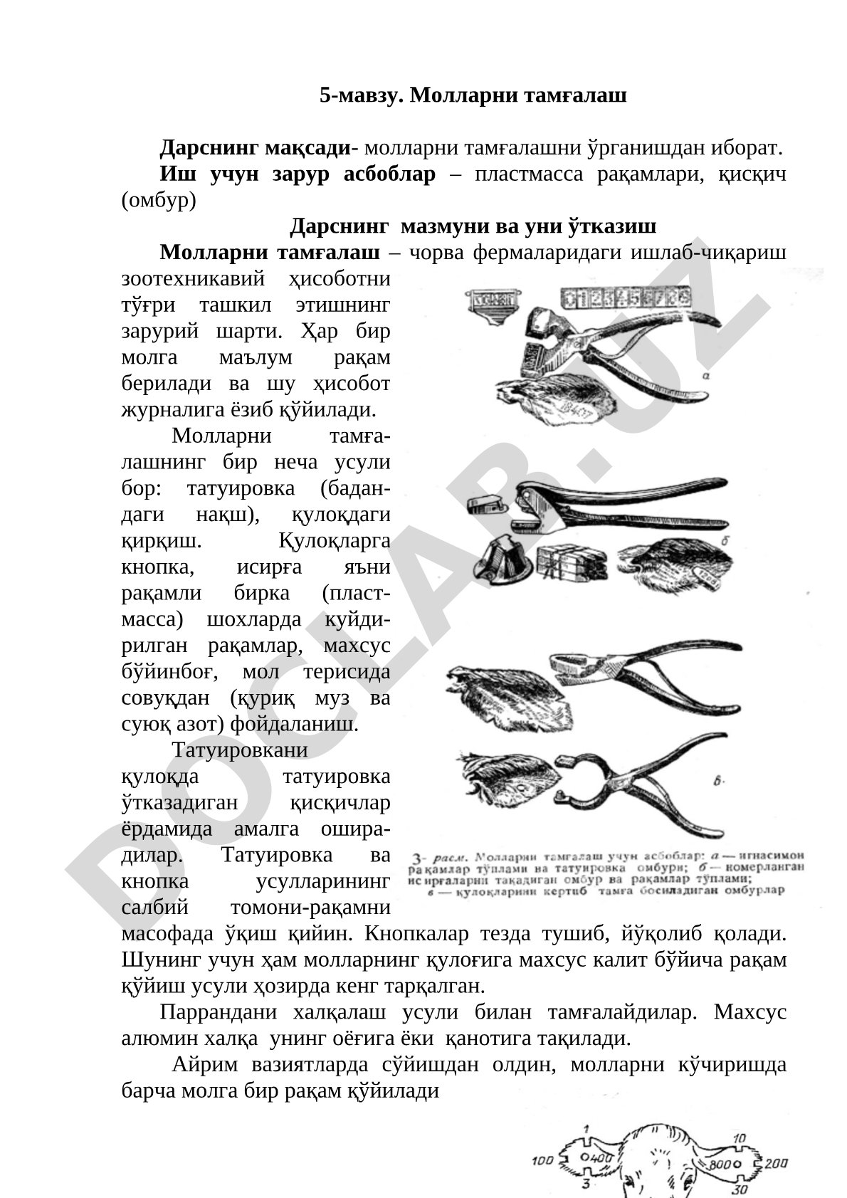 5-мавзу. Молларни тамғалаш