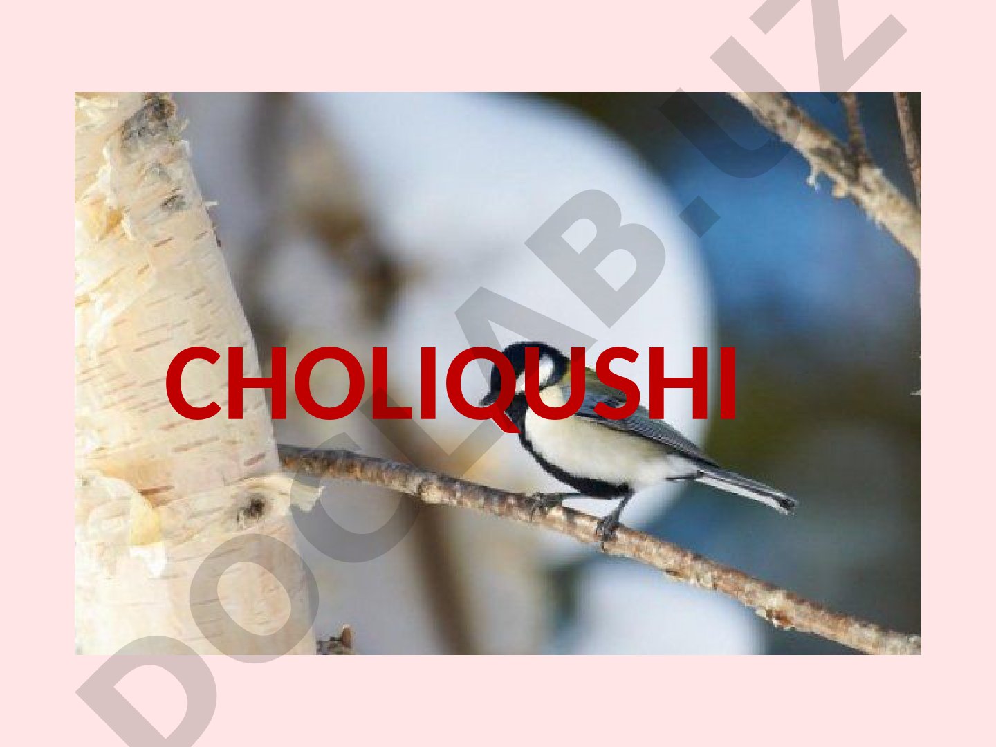 Choliqushi romani tahlili