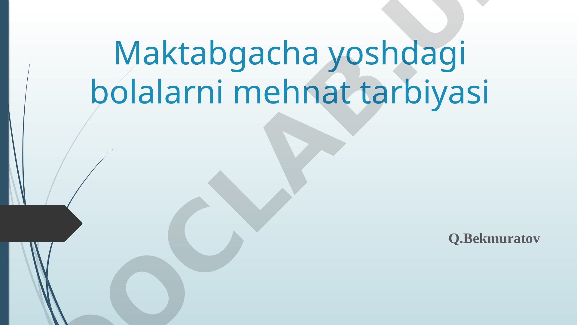Maktabgacha yoshdagi bolalarni mehnat tarbiyasi