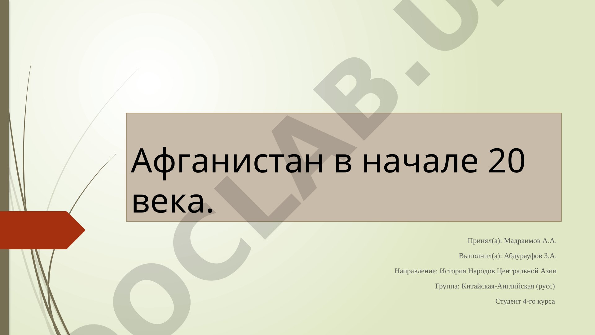 Афганистан в начале 20 века