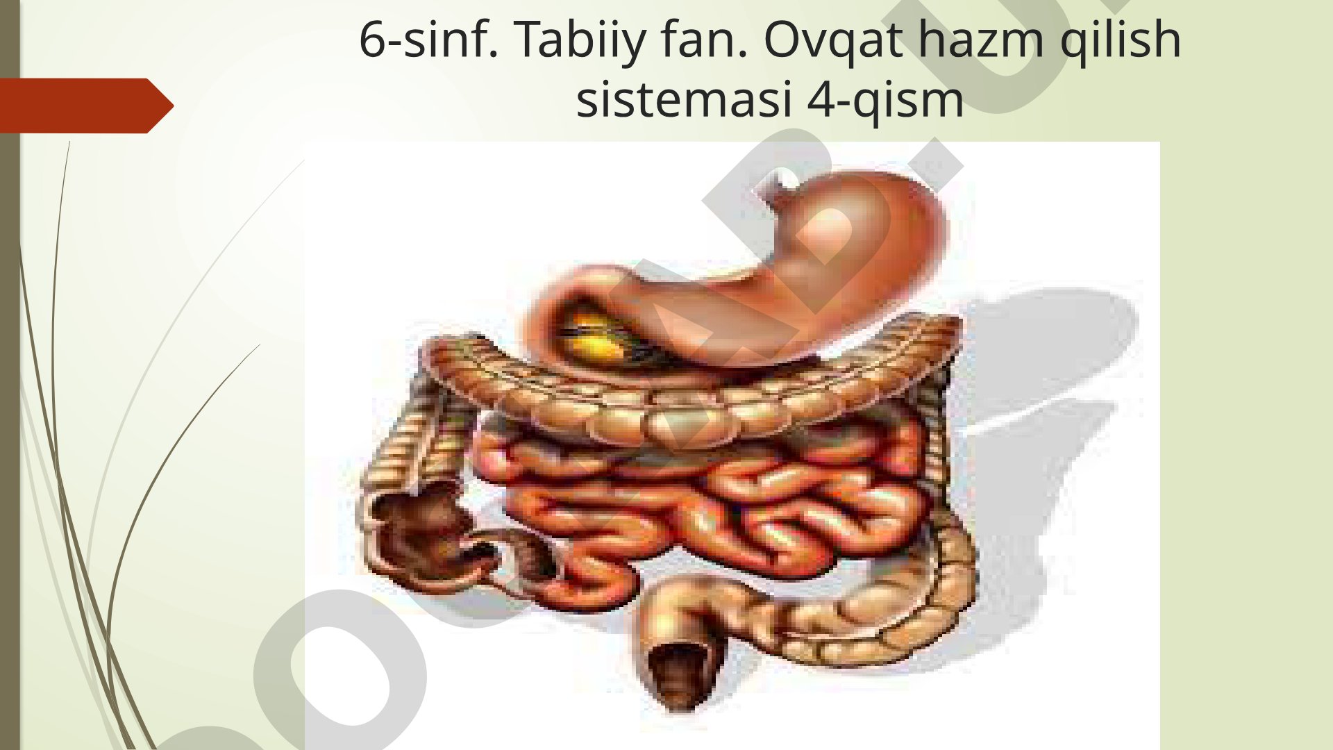 6-sinf. Tabiiy fan. Ovqat hazm qilish sistemasi 4-qism