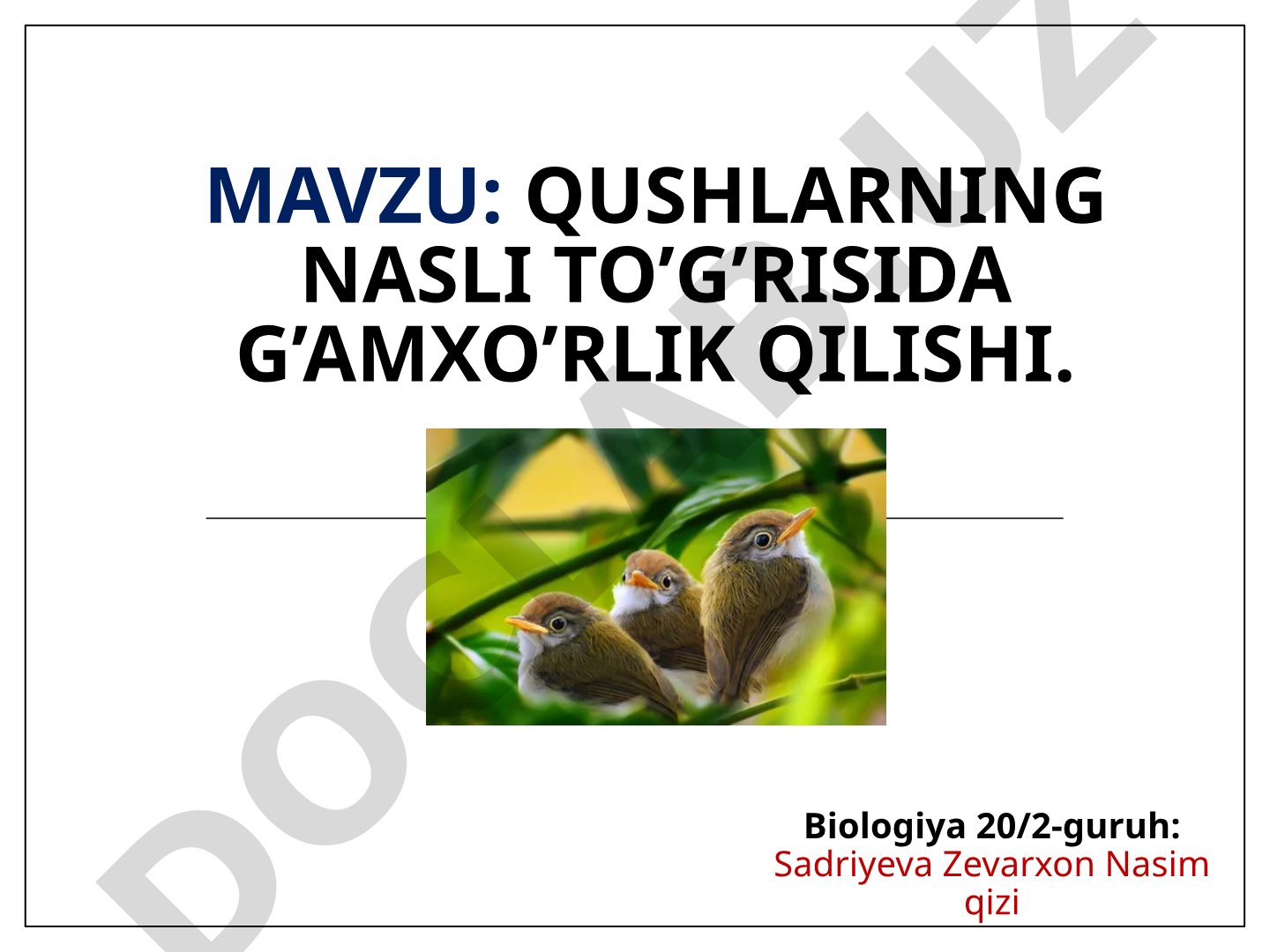 Qushlarning nasli to’g’risida g’amxo’rlik qilishi