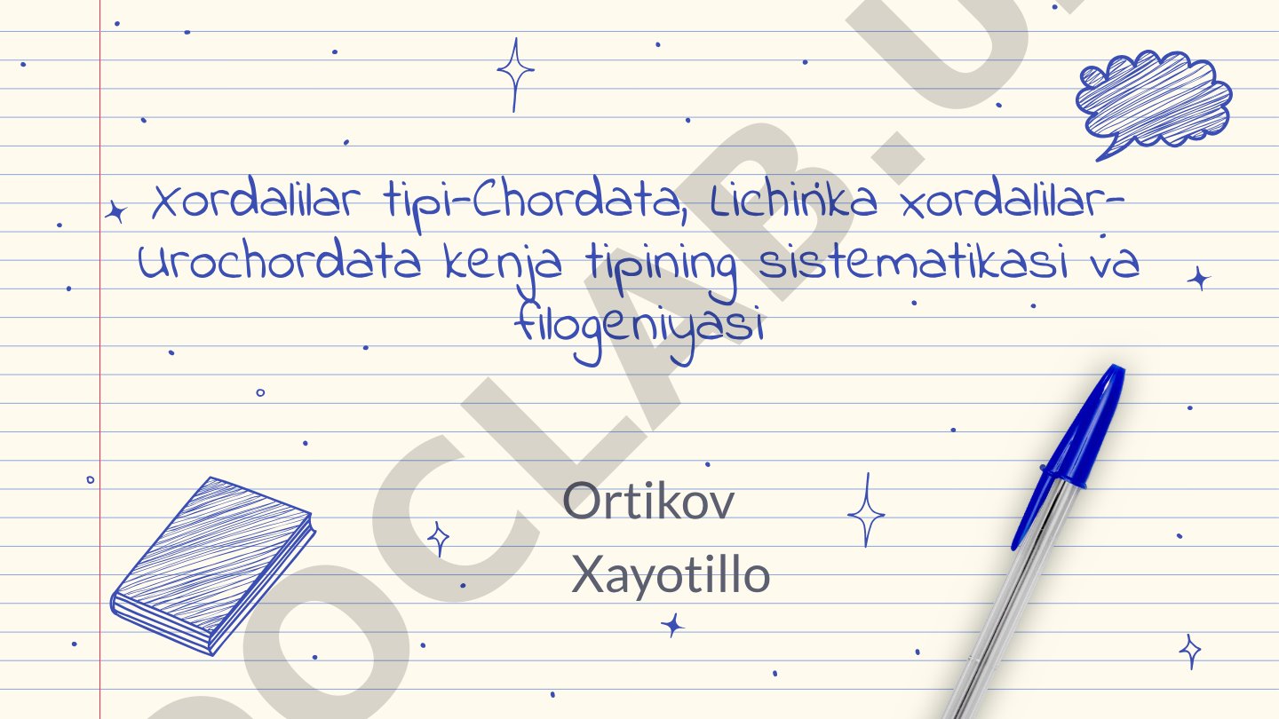 Ortikov Xayotillo Xordalilar tipi-Chordata, Lichinka xordalilar-Urochordata kenja tipining sistematikasi va filogeniyasi