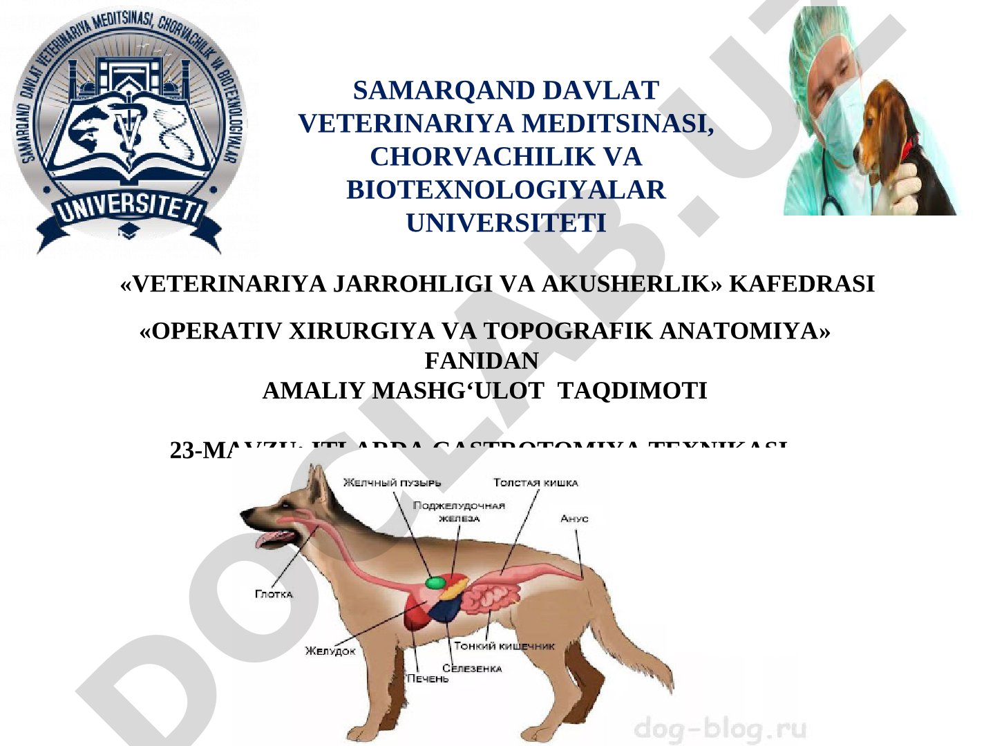 ITLARDA GASTROTOMIYA TEXNIKASI