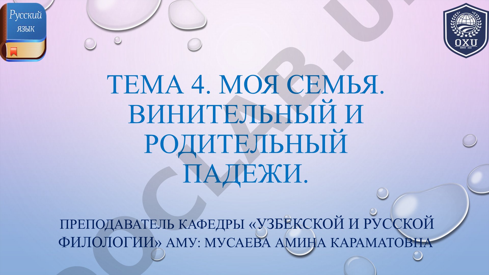 Моя семья. Винительный и родительный падежи