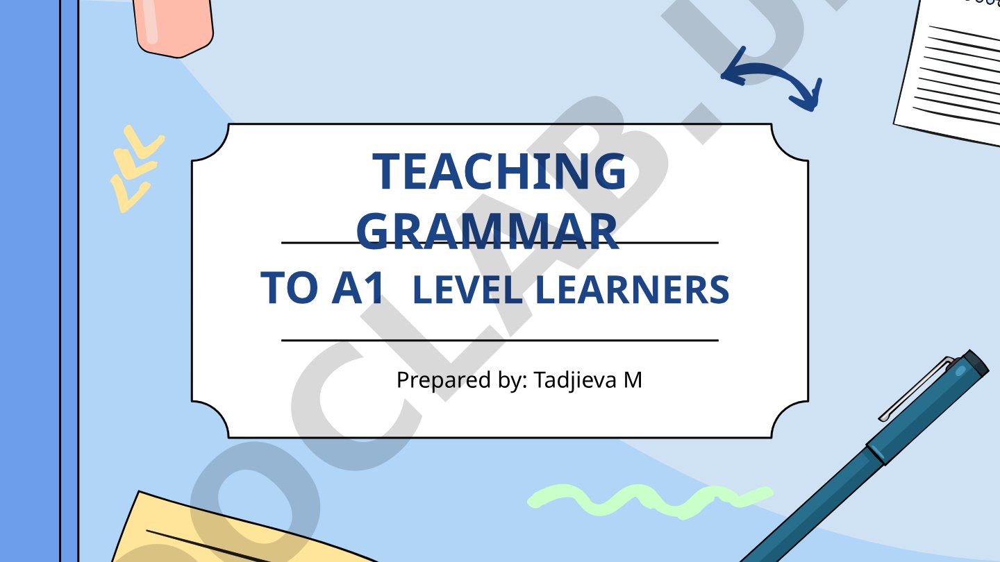 Teaching Grammar to A1 Level Learners
