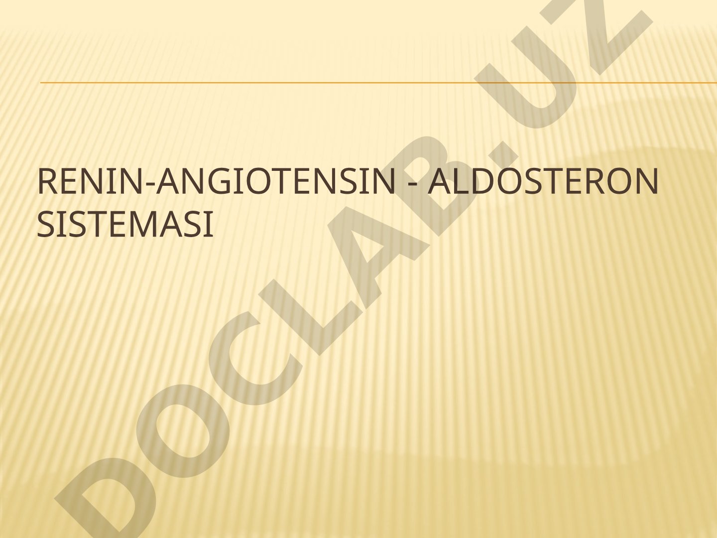 Renin-Angiotensin-Aldosteron sistemasi