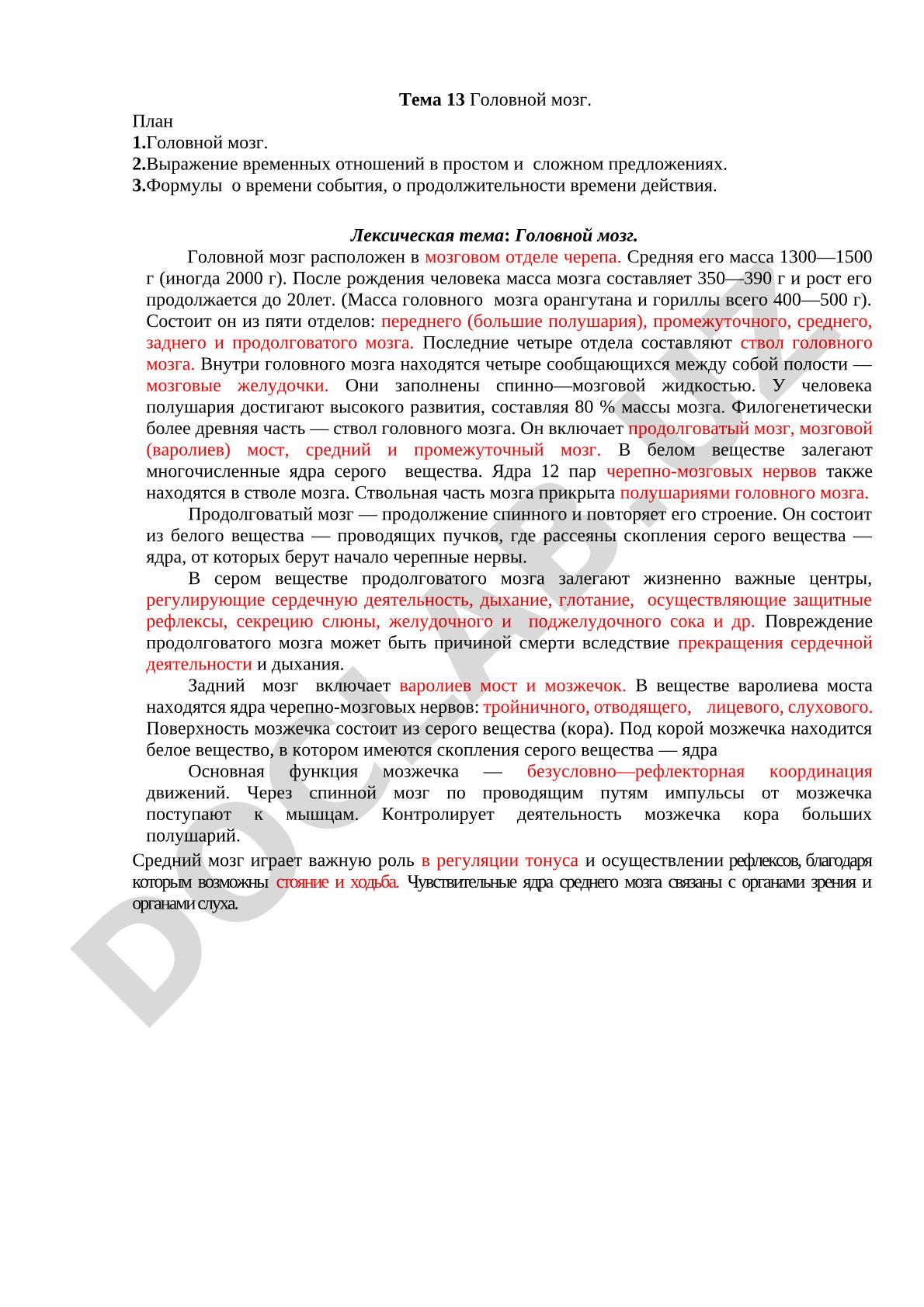 Головной мозг