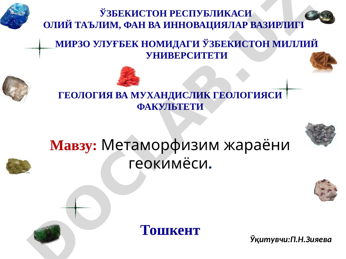 Metamorfizm jarayoni geokimyosi