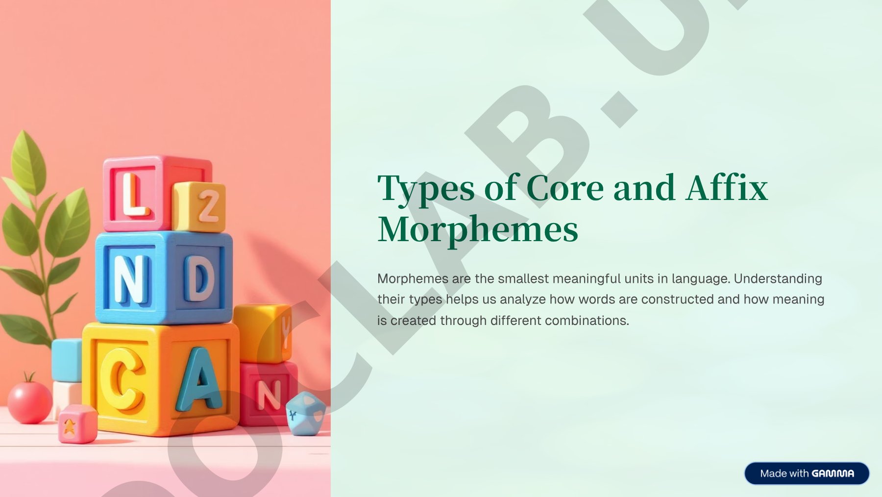Types of Core and Affix Morphemes