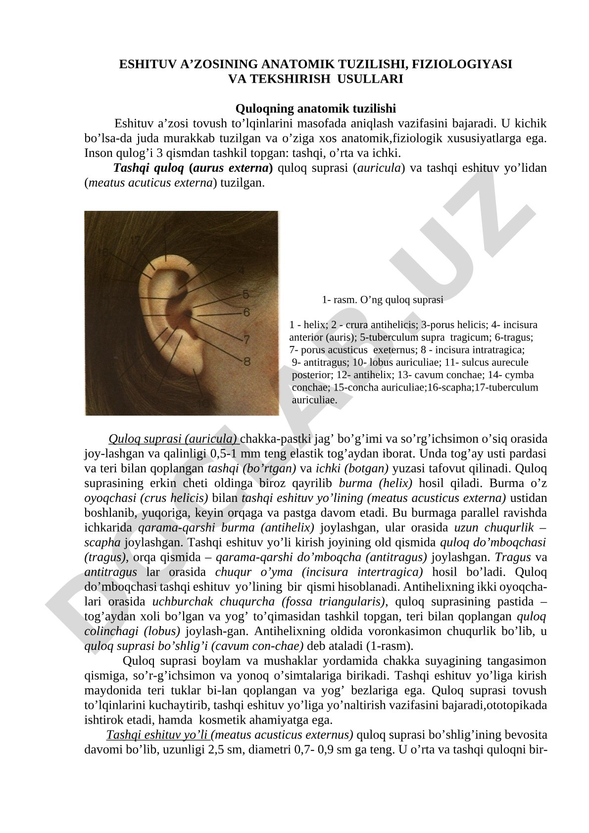 Eshituv a'zosining anatomik tuzilishi, fiziologiyasi va tekshirish usullari