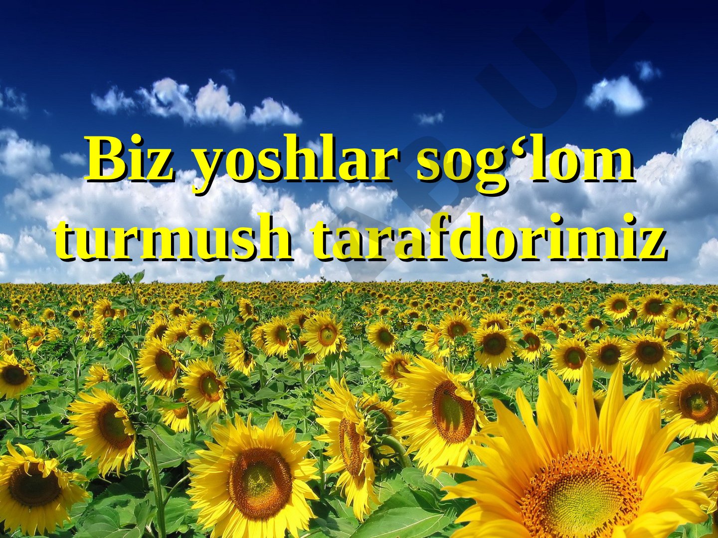 Sog'lom turmush tarzi yo'nalishlari