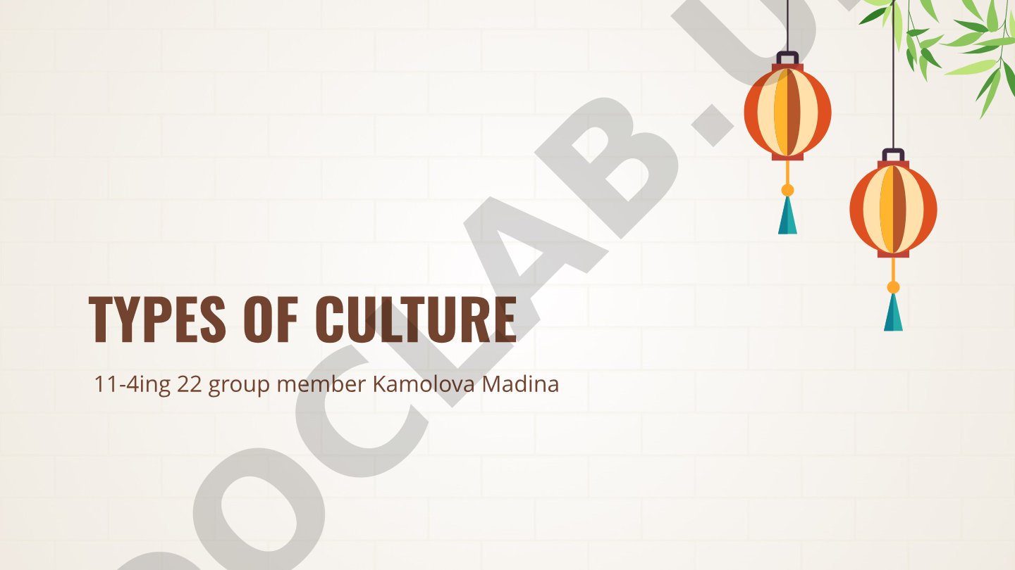 Types of Culture