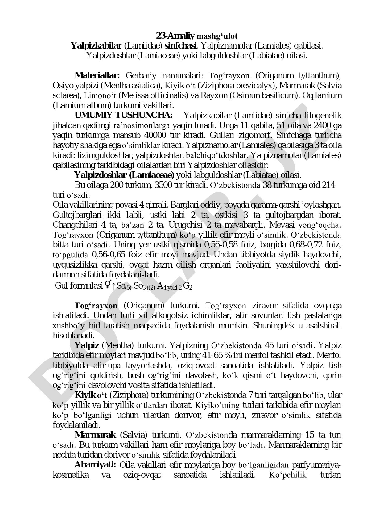 Yalpizkabilar sinfchasi va yalpizdoshlar oilasi