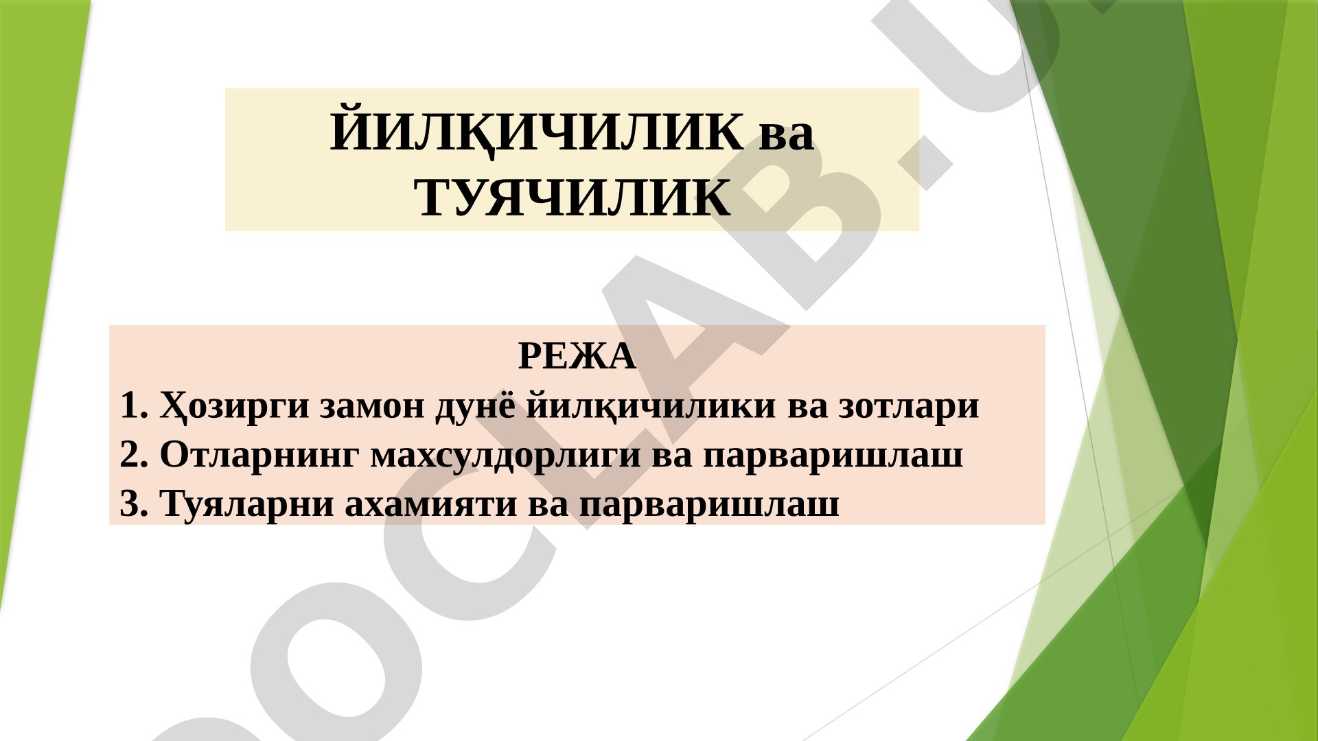 Йилқичилик ва туячилик