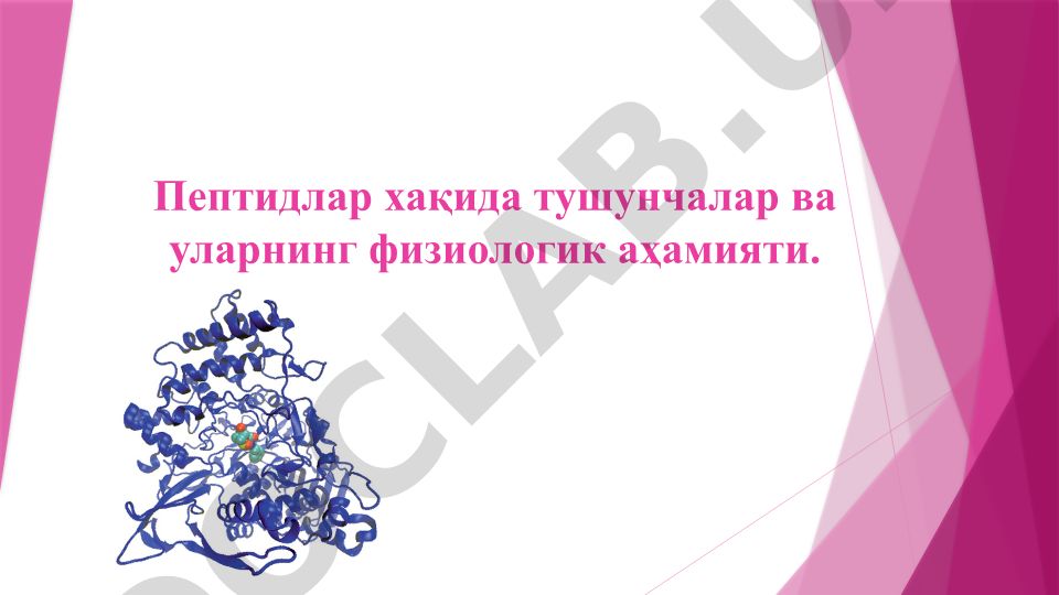 Пептидлар хақида тушунчалар ва уларнинг физиологик аҳамияти