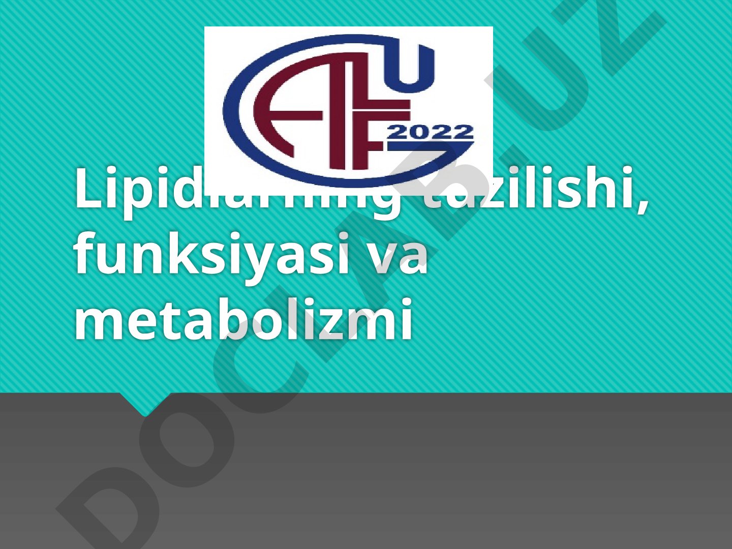 Lipidlarning tuzilishi, funksiyasi va metabolizmi