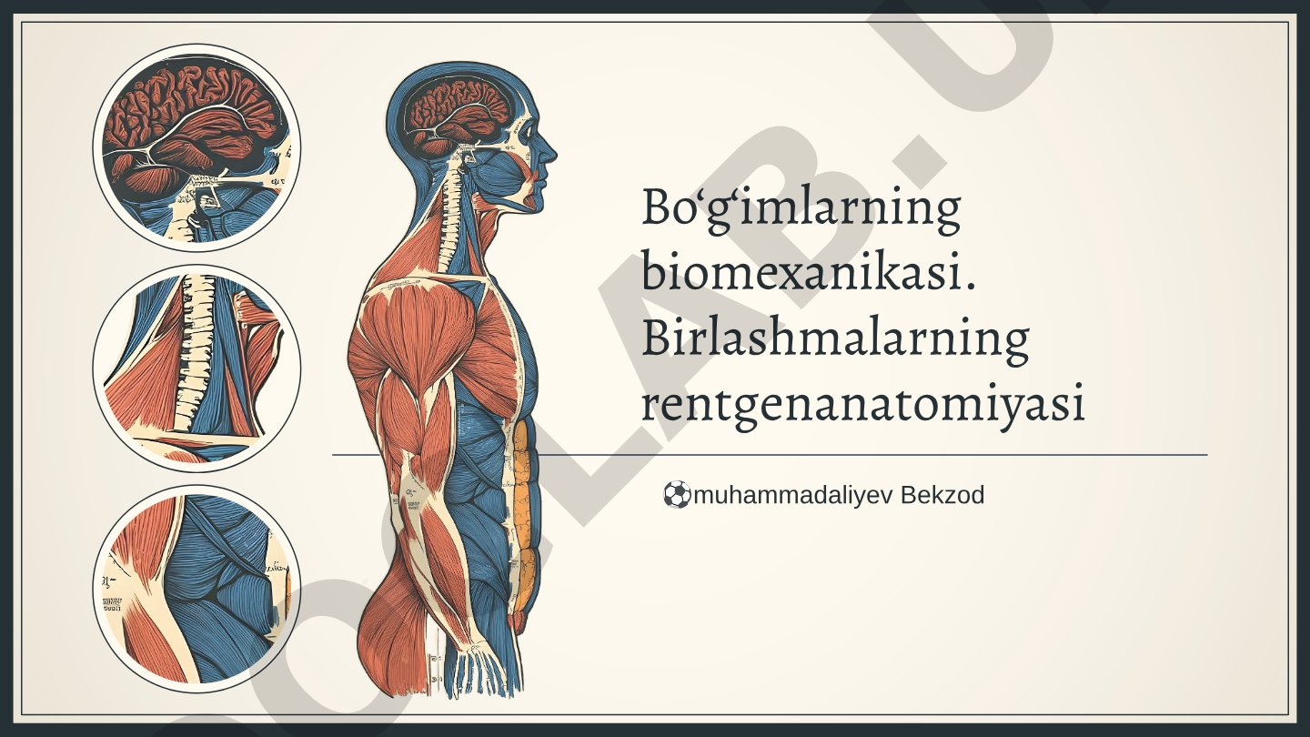 Bo‘g‘imlarning biomexanikasi. Birlashmalarning rentgenanatomiyasi