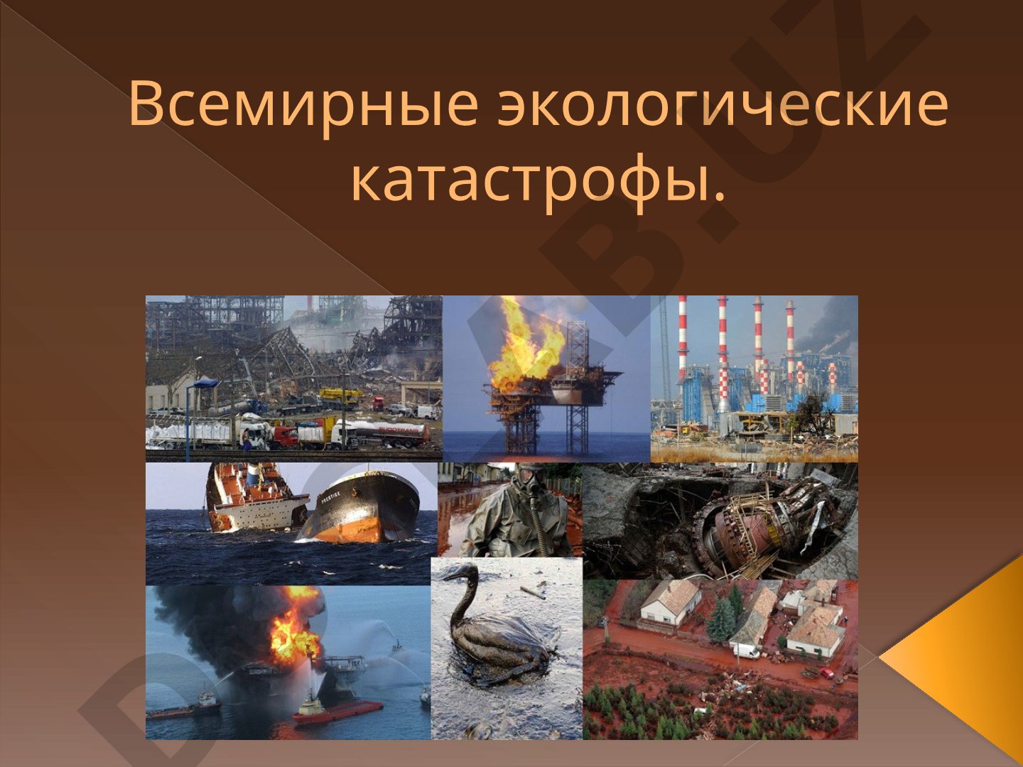 Всемирные экологические катастрофы