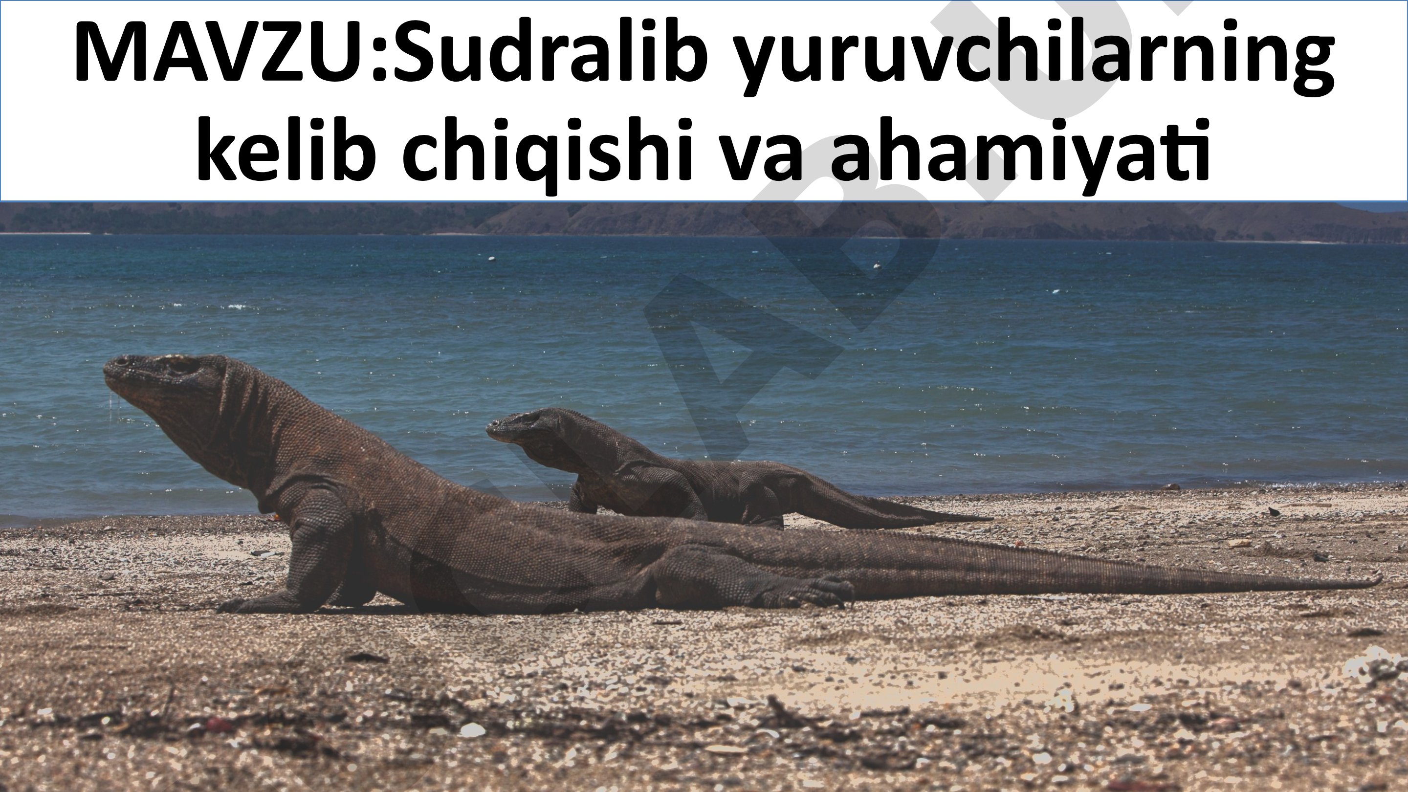 Sudralib yuruvchilarning kelib chiqishi va ahamiyati
