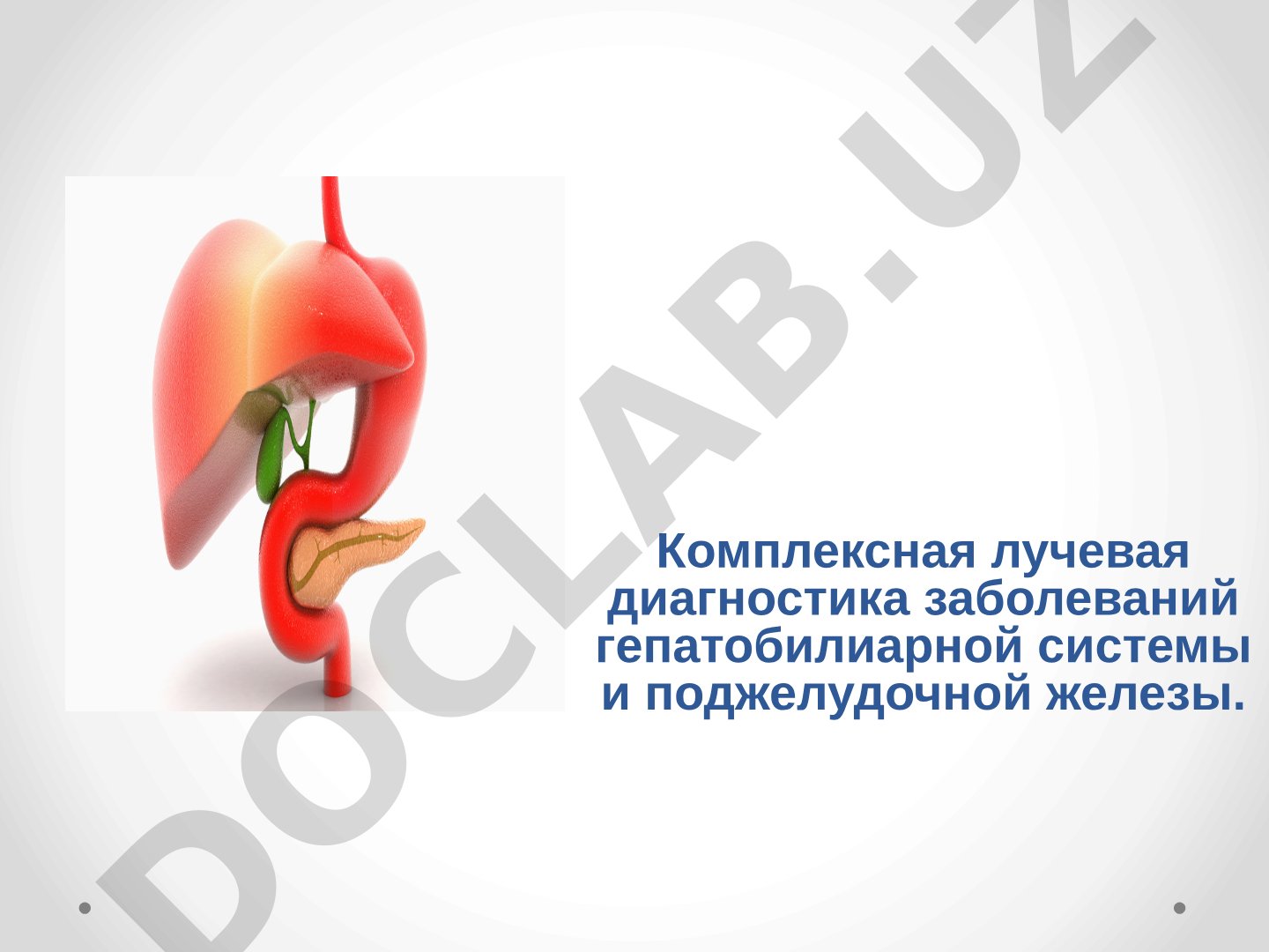 Комплексная лучевая диагностика заболеваний гепатобилиарной системы и поджелудочной железы