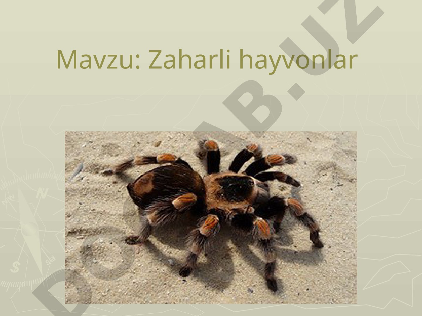 Zaharli hayvonlar tasnifi, turlari va zaharlarning ta'siri haqida taqdimot