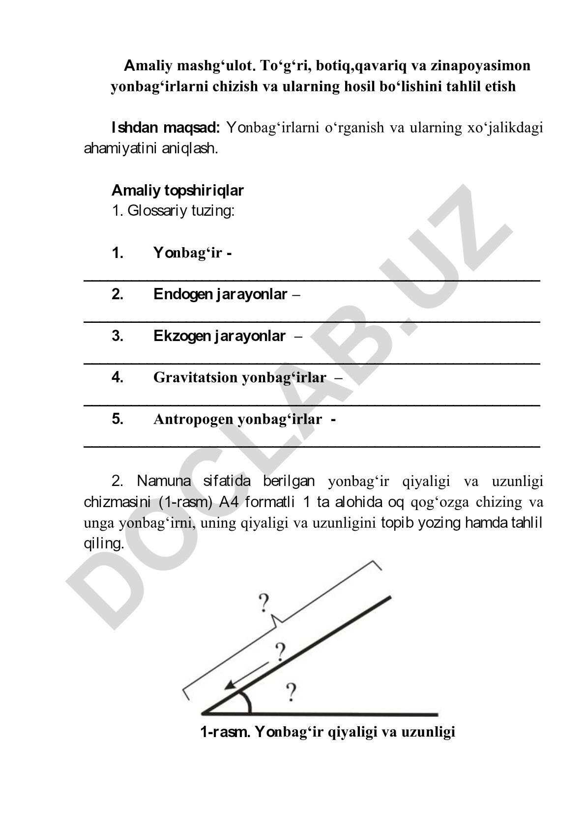 Yonbag'irlarni chizish va tahlil qilish