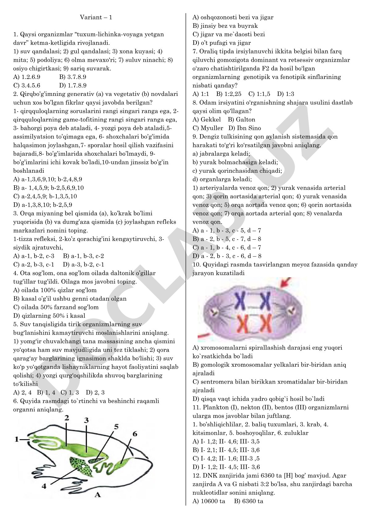 Biologiya fanidan organizmlar rivojlanishi, qirqbo'g'im va reflekslar testi