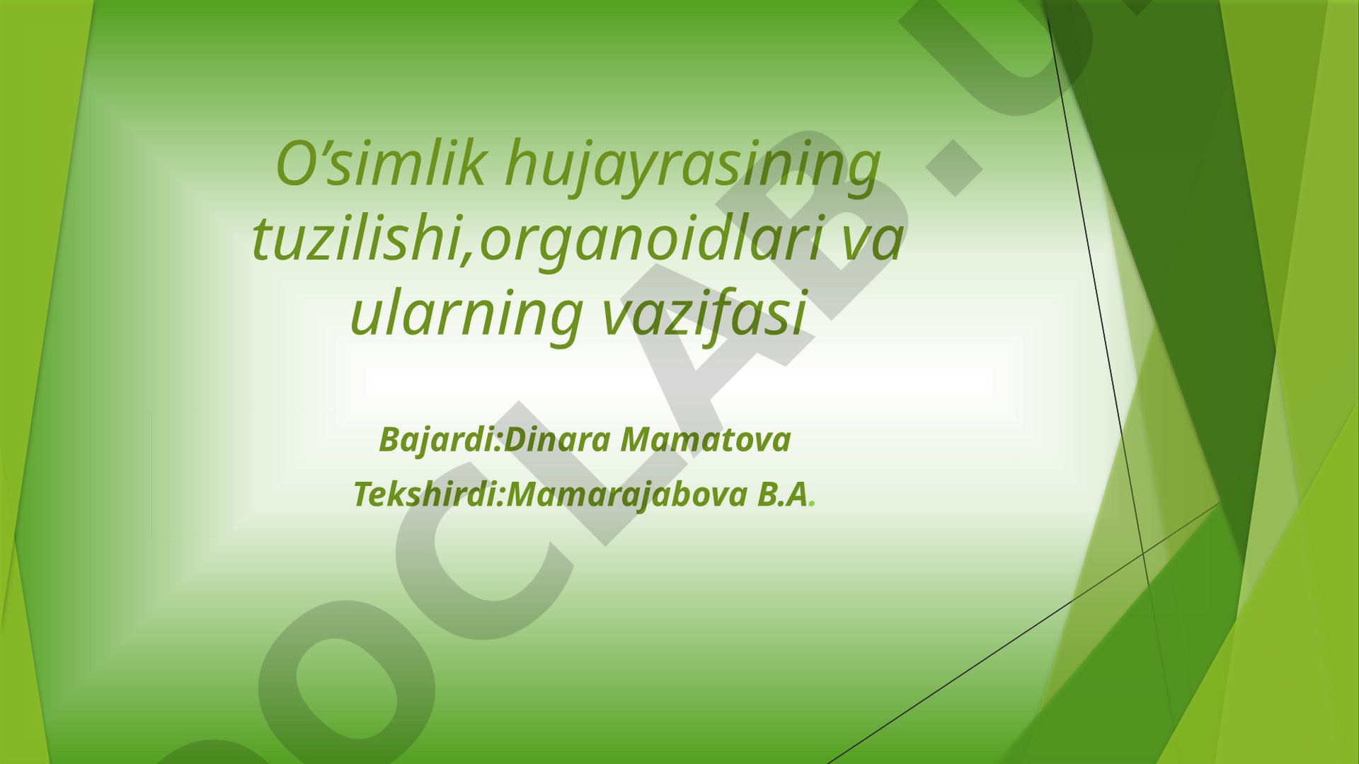 O’simlik hujayrasining tuzilishi,organoidlari va ularning vazifasi