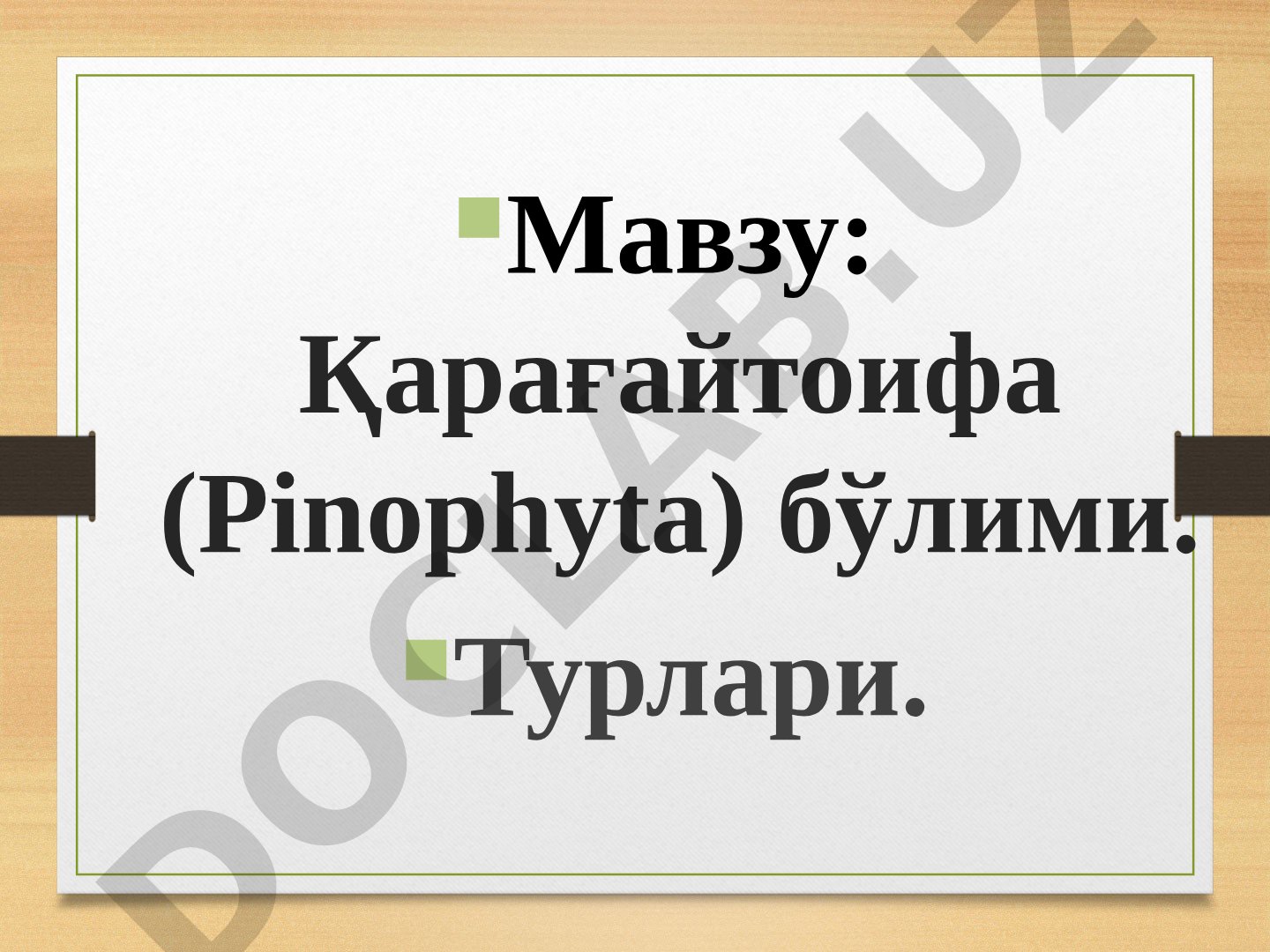 Қарағайтоифа (Pinophyta) бўлими. Турлари
