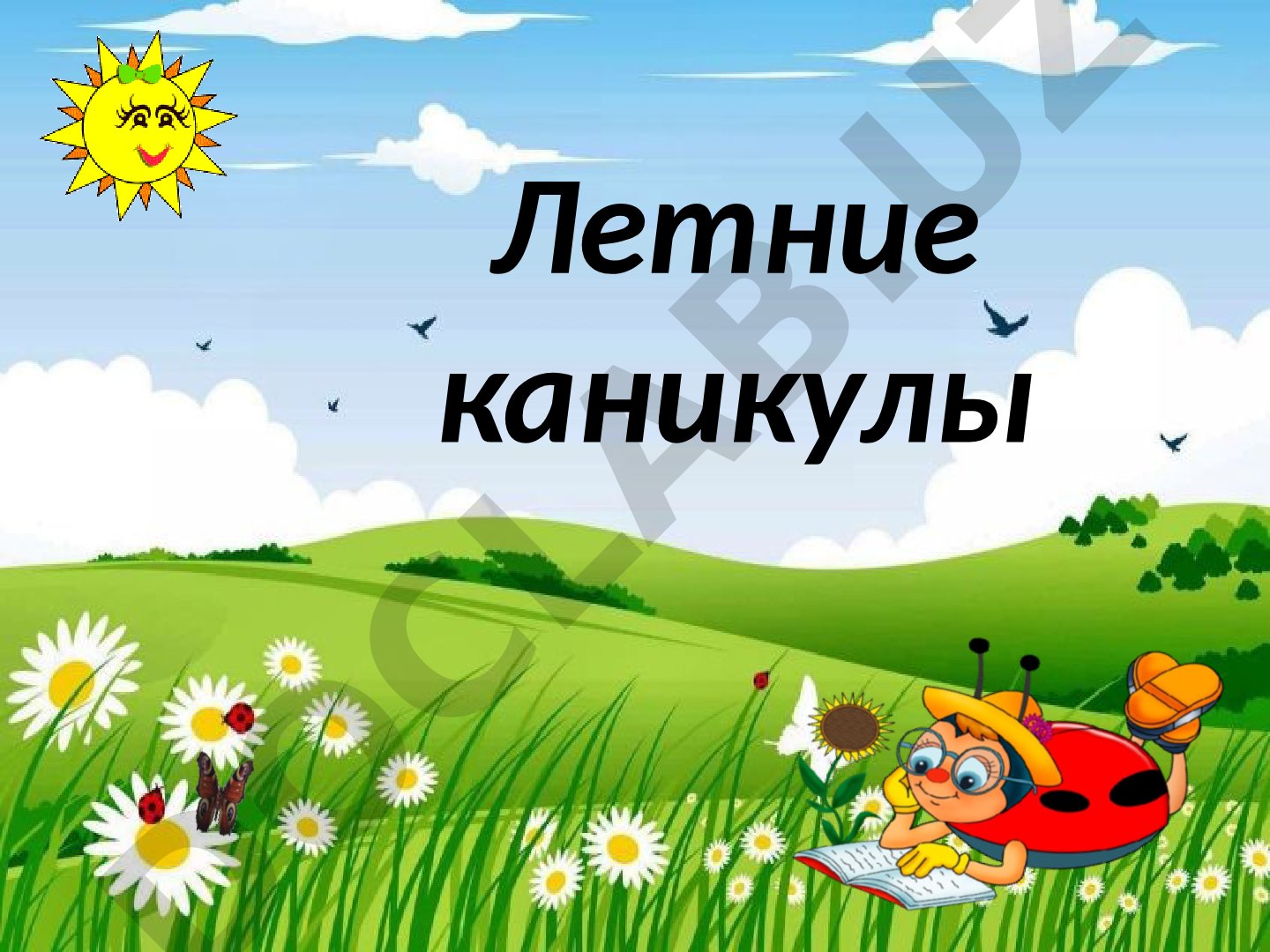 Летние каникулы