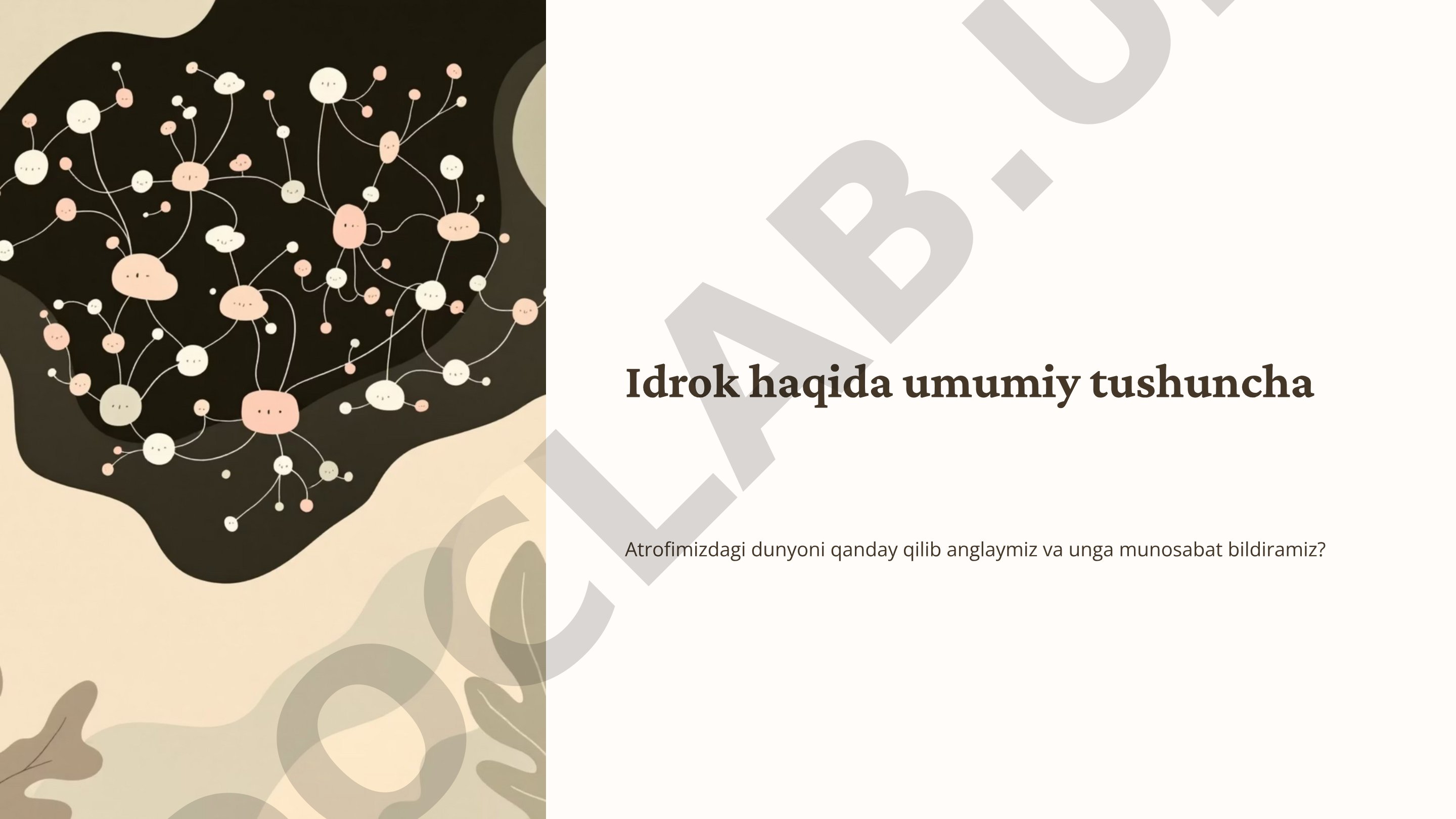 Idrok haqida umumiy tushuncha