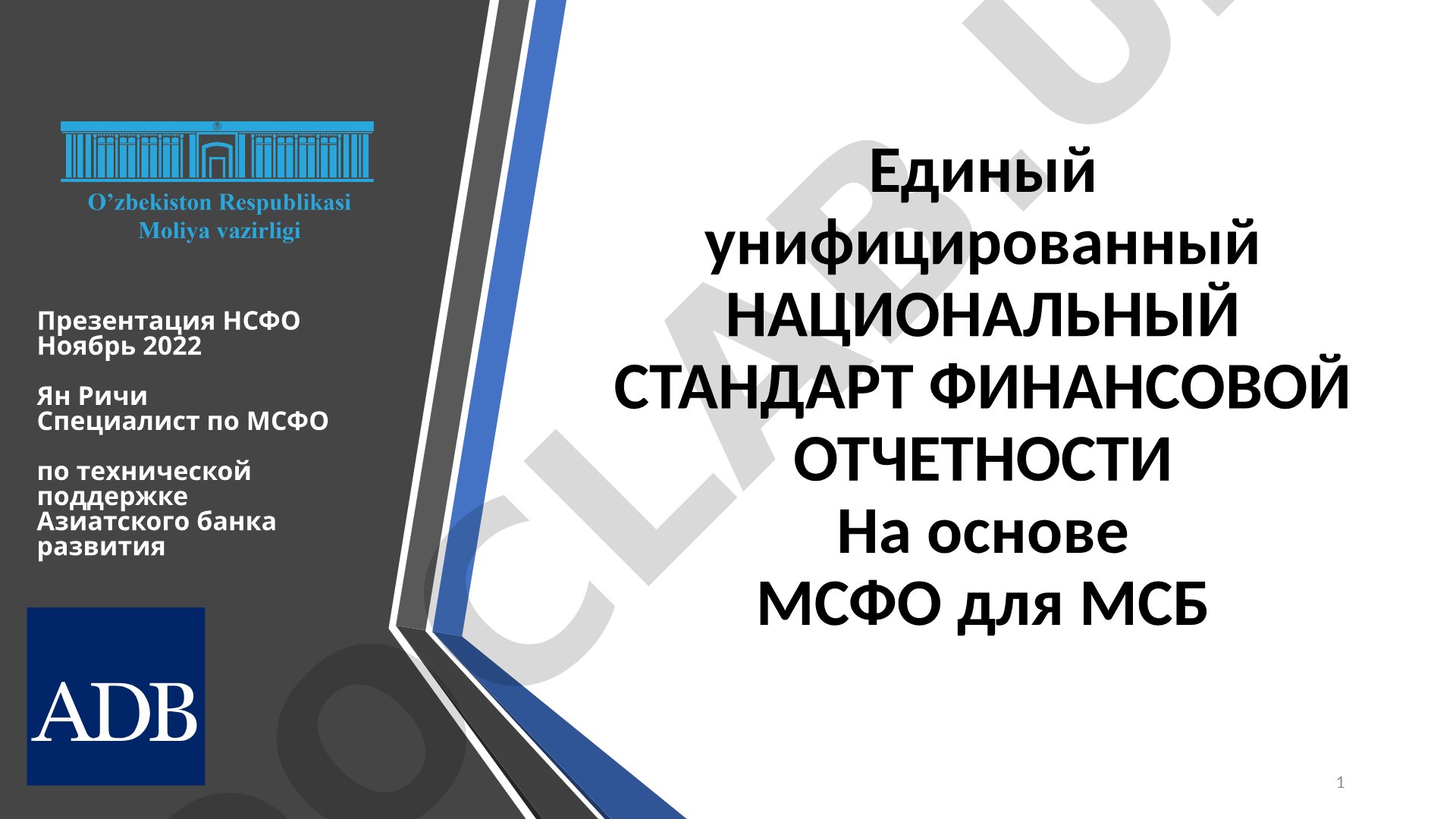 Единый унифицированный национальный стандарт финансовой отчетности